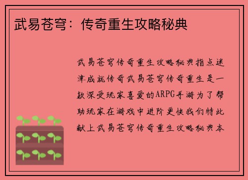 武易苍穹：传奇重生攻略秘典