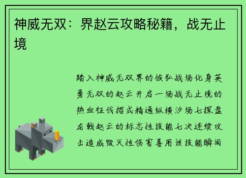 神威无双：界赵云攻略秘籍，战无止境